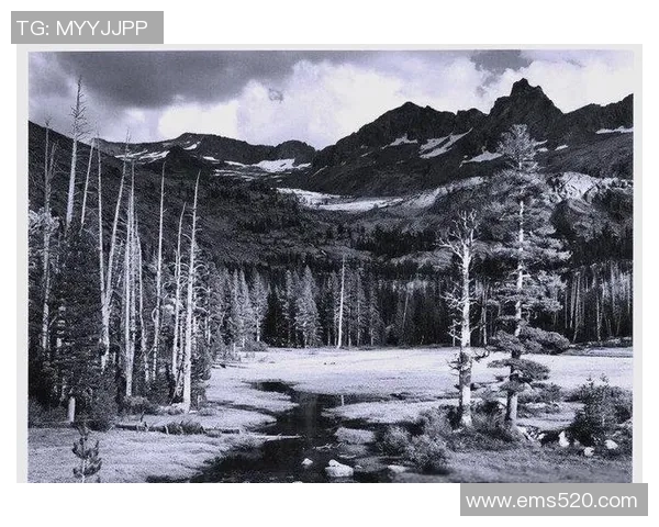 亚当斯的传奇人生与时代变迁的深刻影响探索