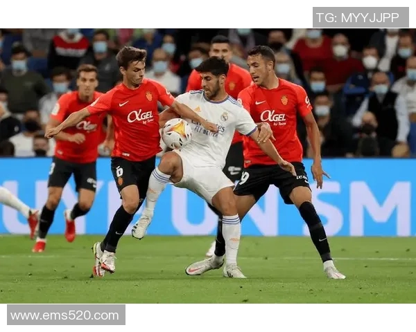 巴黎与马赛14号对决精彩回顾及赛后分析揭示球队未来走势