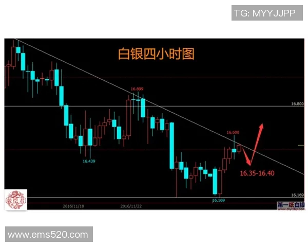 2018年山东与辽宁精彩对决录像回放全程回顾与分析