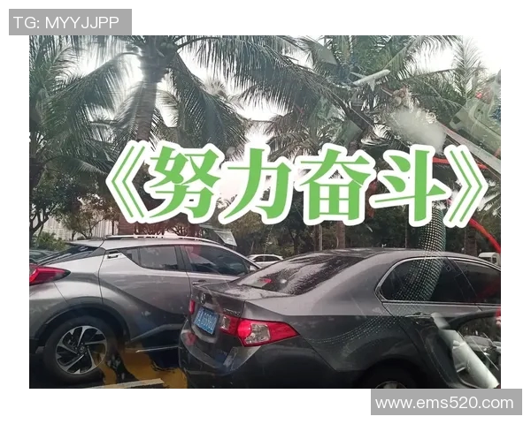 张昊：从平凡到卓越的奋斗历程与人生感悟分享