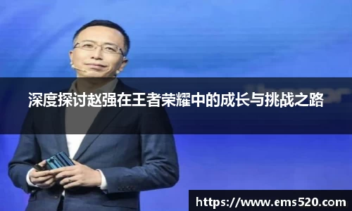 深度探讨赵强在王者荣耀中的成长与挑战之路